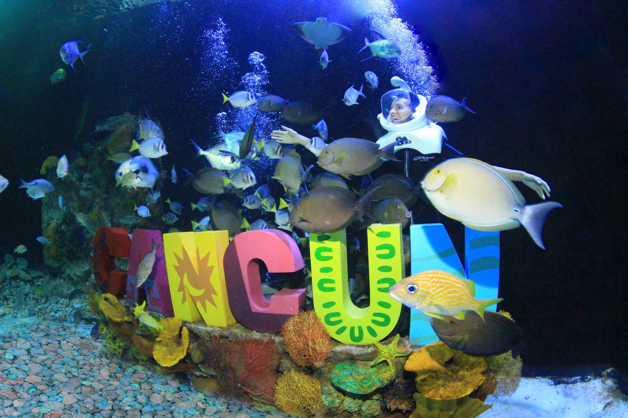 aquarium trek