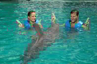 AQUARIUM - CANTO