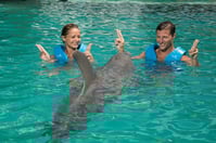 AQUARIUM - CANTO