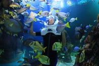 AQUARIUM TREK 4