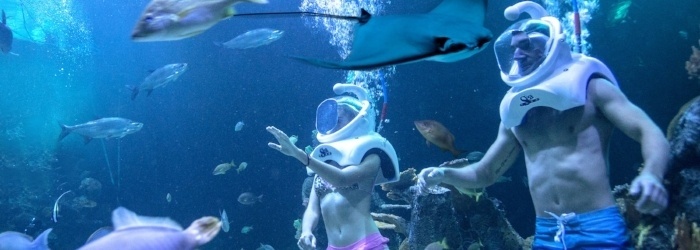 sea-walk-at-cancun-sea-trek.jpg