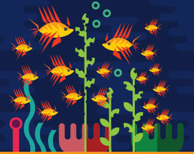 conservacion-de-especies-marinas-invasion-especies-exoticas