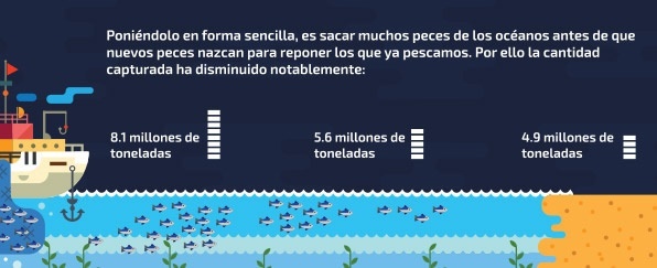 conservacion-de-especies-marinas-sobrepesca