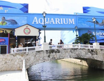acuario interactivo cancun aquarium