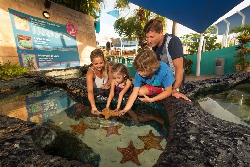 interact with Sea Stars| Touching Area | Aquarium Cancún
