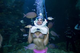 woman under sea in Cancún | Aquarium Cancún