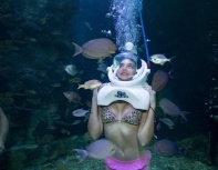 acuario-interactivo-cancun-caminata-submarina-sea-trek.jpg