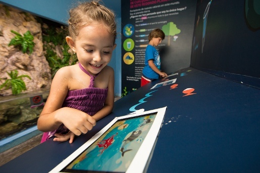 Enjoy and learn about sea life | Aquarium Cancún
