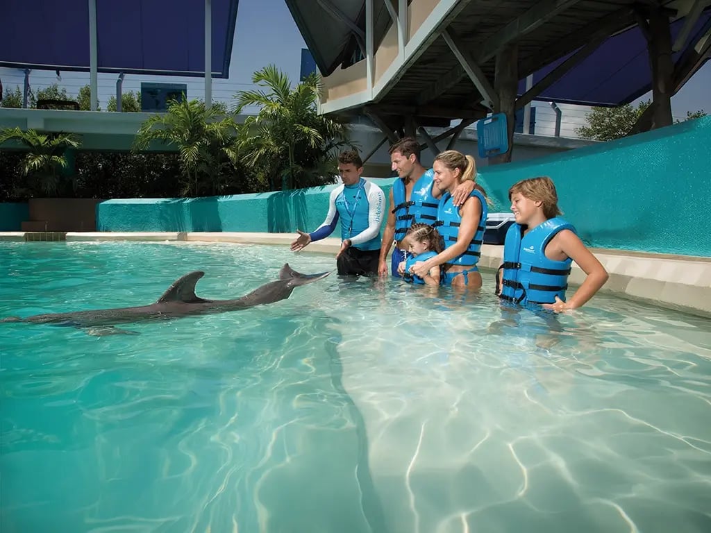 Dolphin trainer aquarium cancun swim with dolphins