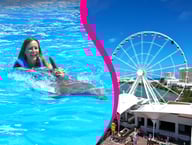 Interactive Aquarium - Ride  skywheel