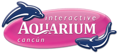 Sign Up And Get Special Offer At Interactive Aquarium Cancun MX