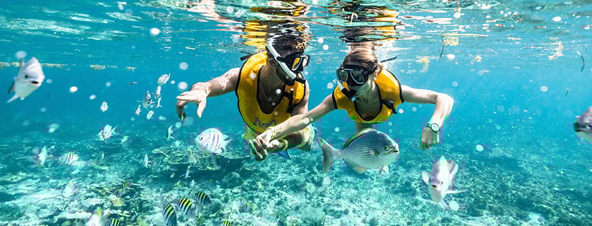 Protección de los Arrecifes cancun