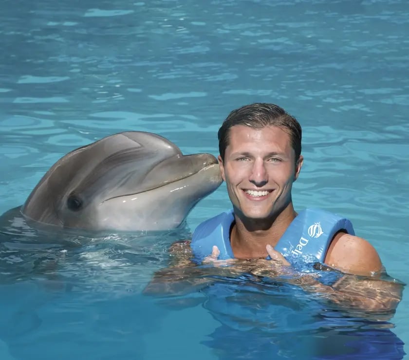The one dolphin aquarium