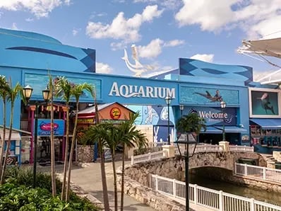acuario interactivo de cancun
