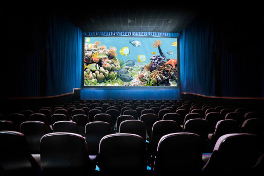 auditorium auditorium