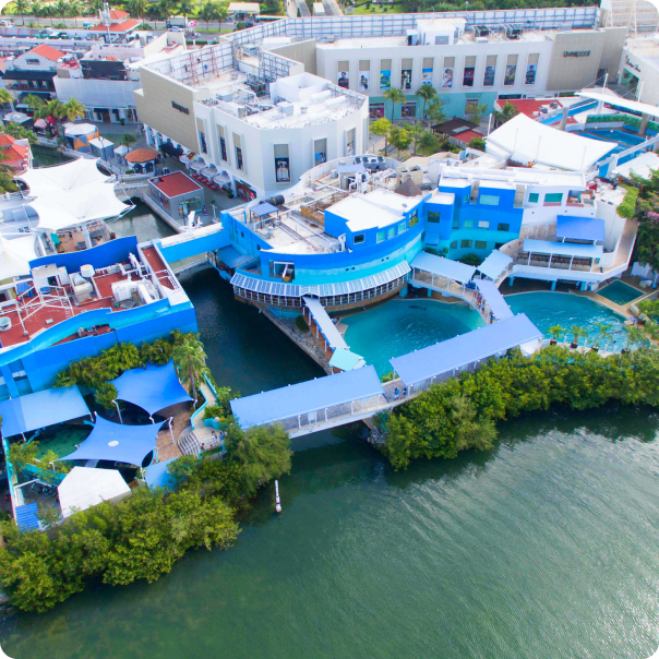 acuario interactivo cancún