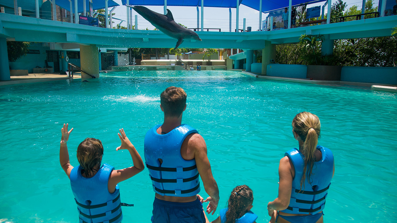 Cancún en Familia: Disfruta las Mejores Actividades para Niños